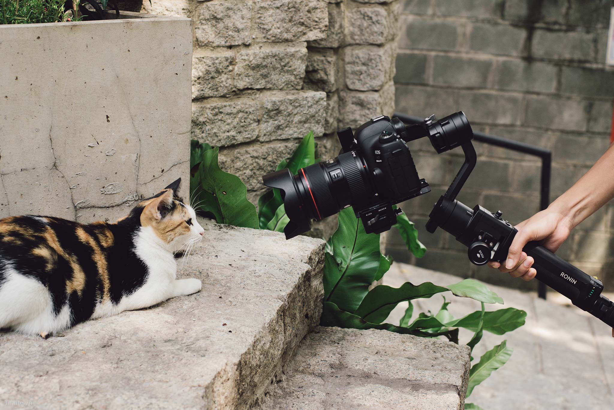 Gimbal chống rung điện tử 