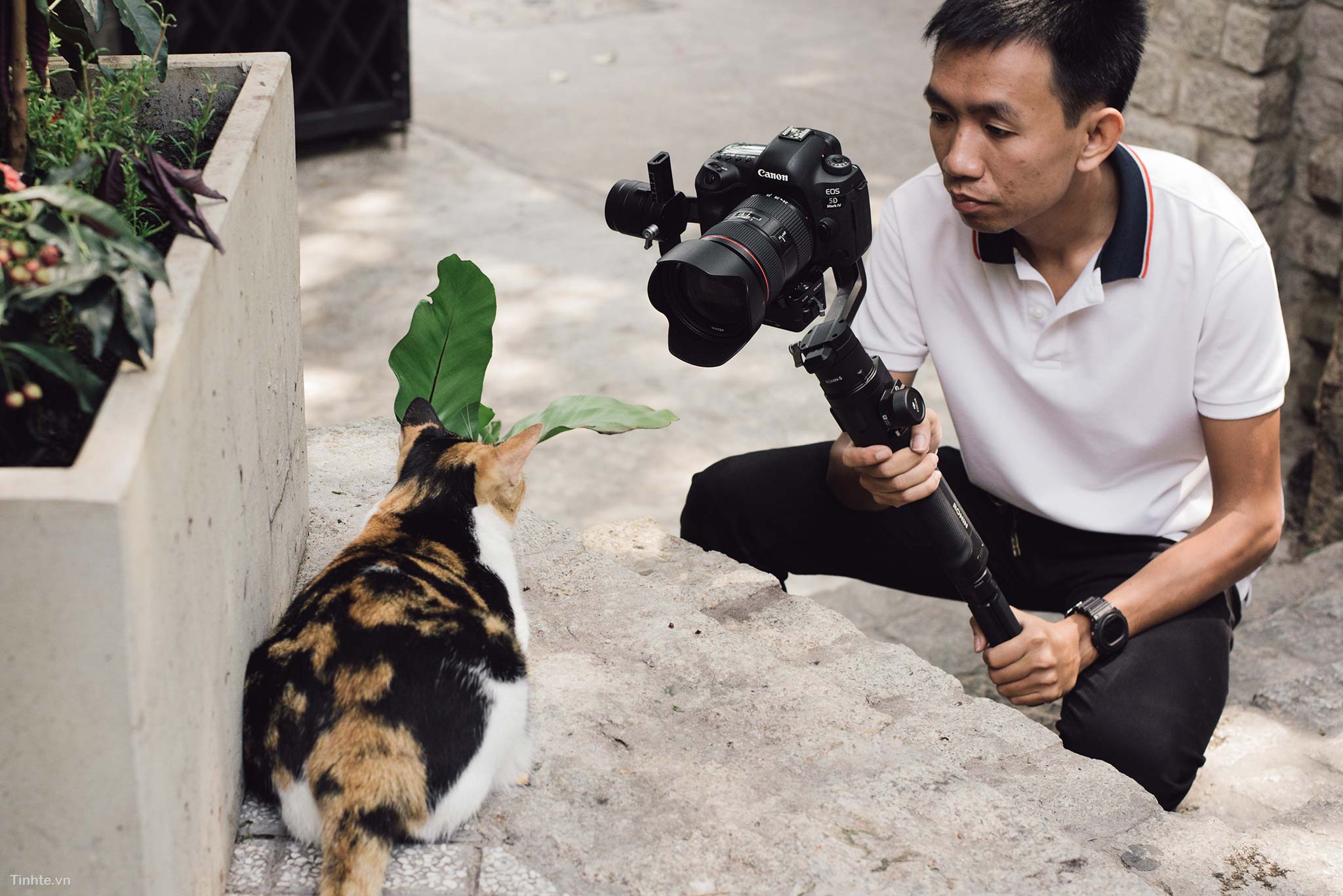 Gimbal là gì
