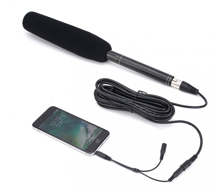 cho thuê micro phỏng vấn