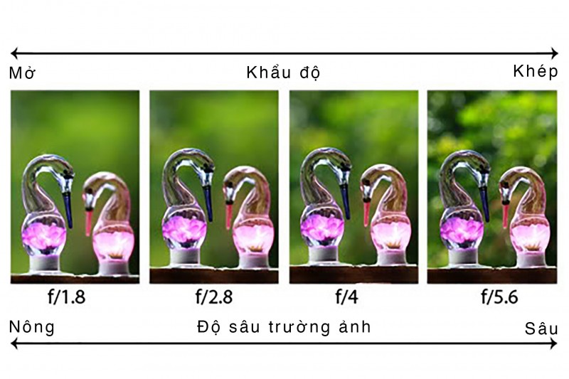  khẩu độ là gì