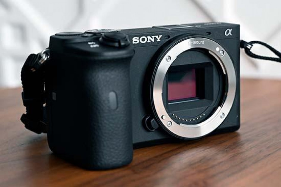 Sony A6600