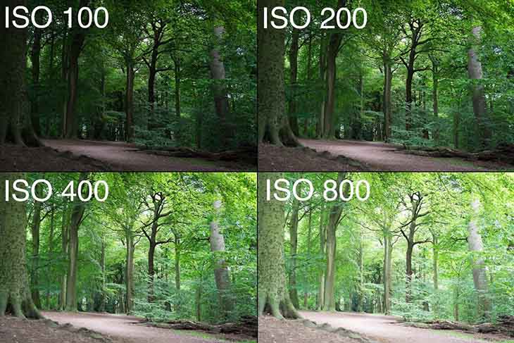 độ nhạy sáng cao thấp của ISO