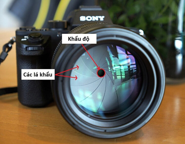 khẩu độ máy ảnh
